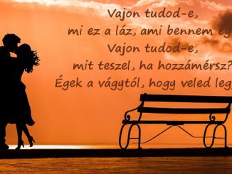 valentin napi idézetek1