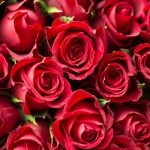 valentinnap