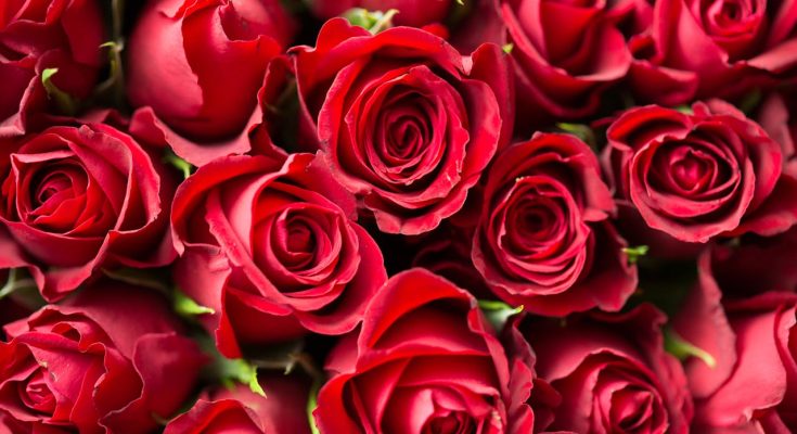 valentinnap